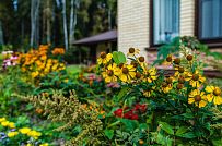 Ландшафтный дизайн участка в Сосновом бору 7 - мини - 10