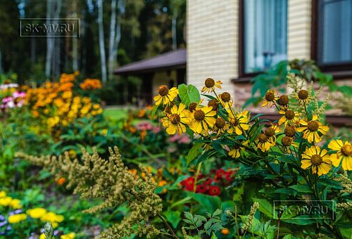 Ландшафтный дизайн участка в Сосновом бору 7 - 10
