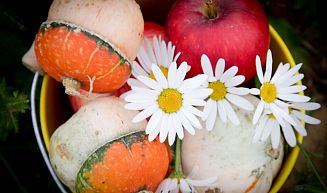 Проект "Смартвилль 3" -- 2