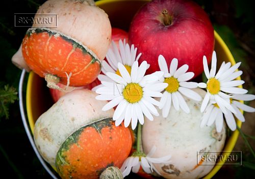 Проект "Смартвилль 3" -- 3966