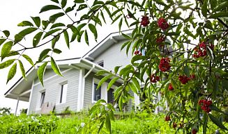 Проект "Юкки 2" -- 2