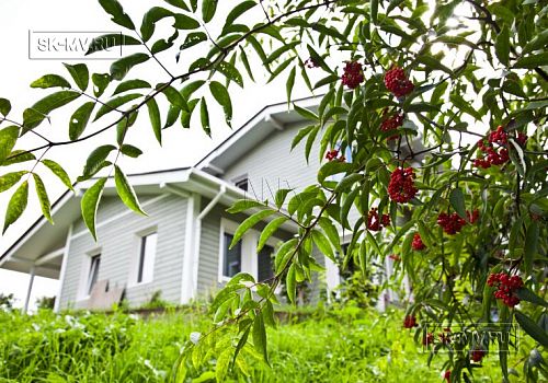 Проект "Юкки 2" -- 3686