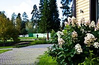 Строительство большого желтого каркасного дома с гаражом и сауной в пгт Сиверский - мини - 11