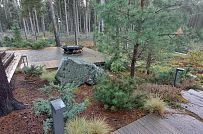 Сосновая аллея - мини - 6