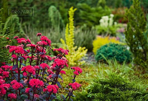 Ландшафтная архитектура участка в Зеркальном - 14