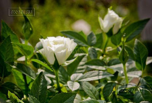 Строительство каркасного теплого зимнего дома 180 кв м для круглогодичного проживания Смартвилль 2 Москва - 11