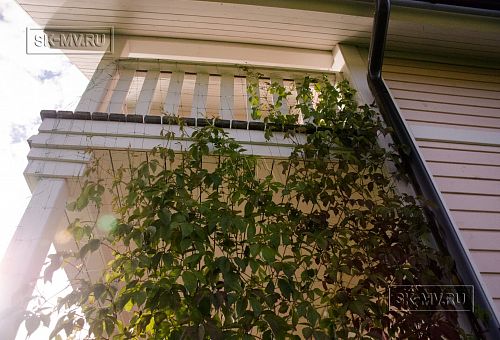 Строительство каркасного коттеджа с большой террасой в п Ольшаники - 12