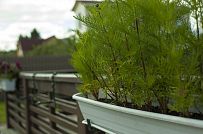 Строительство двухэтажного каркасного коттеджа шале около 300 кв м с комбинированной отделкой коричневым кирпичом и деревом в п Володарский - мини - 15