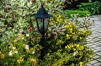 Ландшафтное проектирование участка в Сосновом бору 4 - мини - 3