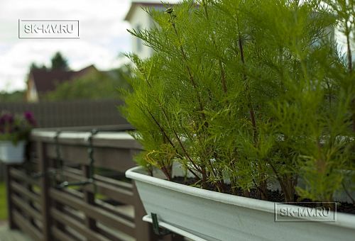 Строительство двухэтажного каркасного коттеджа шале около 300 кв м с комбинированной отделкой коричневым кирпичом и деревом в п Володарский - 15