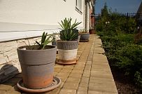 Ландшафтное проектирование участка в Балтийской Ривьере 1 - мини - 4