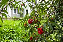 Строительство двухэтажного каркасного дома чуть более 200 кв м в скандинавском стиле в деревне Юкки - мини - 16