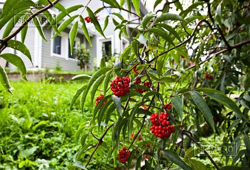 Строительство двухэтажного каркасного дома чуть более 200 кв м в скандинавском стиле в деревне Юкки - 16