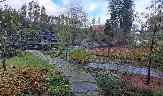 Сосновая аллея -- 1