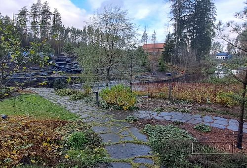 Сосновая аллея - 2