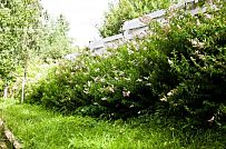 Строительство двухэтажного каркасного дома чуть более 200 кв м в скандинавском стиле в деревне Юкки - мини - 6