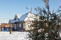 Благоустройство и озеленение участка в д Олики 3 фото - мини - 2