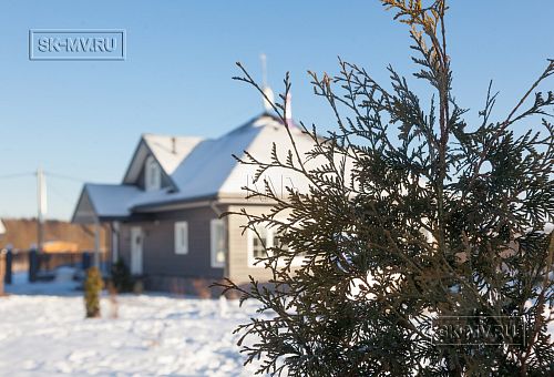 Благоустройство и озеленение участка в д Олики 3 фото - 2