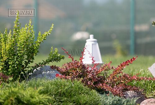 Благоустройство и озеленение участка в д Олики 3 фото - 27