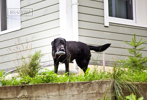 Строительство двухэтажного каркасного дома чуть более 200 кв м в скандинавском стиле в деревне Юкки - 13