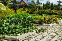 Строительство большого двухэтажного газобетонного коттеджа с комбинированной фасадной отделкой кирпичом и штукатуркой в КП Сосновое - мини - 21