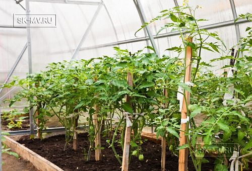 Строительство современного каркасного дома с балконом и террасой в Агалатово - 3