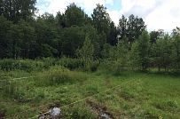 Руза Фэмили Парк - мини - 4