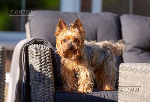 Одноэтажная усадьба в английском стиле в КП Галактика, технология каркас - 20