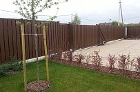 Ландшафтный дизайн участка в Оликах 2 - мини - 3