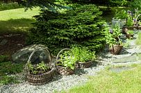 Строительство двухэтажного каркасного дома около 250 кв м с мансардными окнами и разноуровневой кровлей в п Володарский - мини - 13