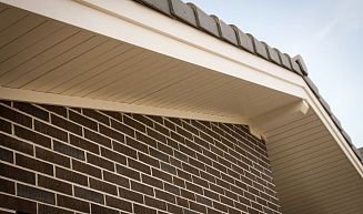 Проект "Черничные поля" -- 2