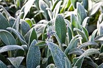 Строительство небольшого двухэтажного каркасного дома 165 кв м с бежевым сайдингом и зеленой крышей в СНТ Учитель - мини - 20