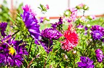 Построенный каркасный теплый дом 150 кв м с эркером и открытой террасой в п Горная Шальдиха - мини - 9