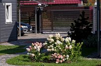 Благоустройство и озеленение участка в д Олики 3 фото - мини - 12