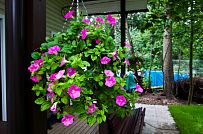 Строительство небольшого теплого зимнего двухэтажного каркасного коттеджа с сауной и верандой в Токсово - мини - 13