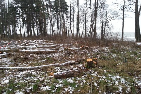 Строительство дома фахверк из дерева и стекла в Балтийской ривьере - 26