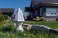 Благоустройство и озеленение участка в д Олики 3 фото - мини - 11