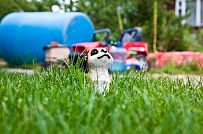 Строительство каркасного дома Приютино 1 площадью 165 кв м с террасой и пятью спальнями в СНП Гранит - мини - 18