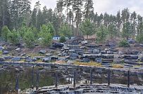 Сосновая аллея - мини - 28