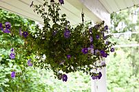 Строительство двухэтажного каркасного дома чуть более 200 кв м в скандинавском стиле в деревне Юкки - мини - 21