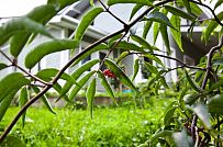 Строительство двухэтажного каркасного дома чуть более 200 кв м в скандинавском стиле в деревне Юкки - мини - 15