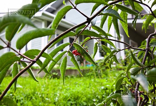 Строительство двухэтажного каркасного дома чуть более 200 кв м в скандинавском стиле в деревне Юкки - 15