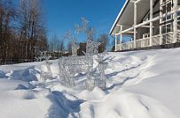 Ландшафтный дизайн участка в Малом Репино - мини - 7