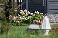 Благоустройство и озеленение участка в д Олики 3 фото - мини - 25