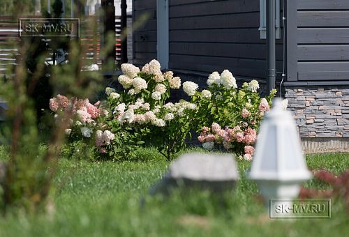 Благоустройство и озеленение участка в д Олики 3 фото - 25