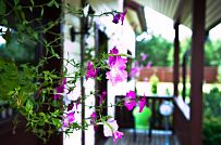 Строительство каркасного теплого дома с террасой и балконом в п Энколово - мини - 9