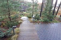 Сосновая аллея - мини - 4