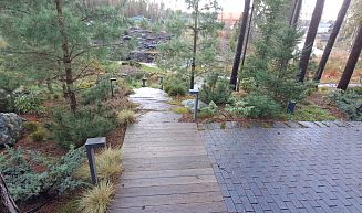 Сосновая аллея -- 3