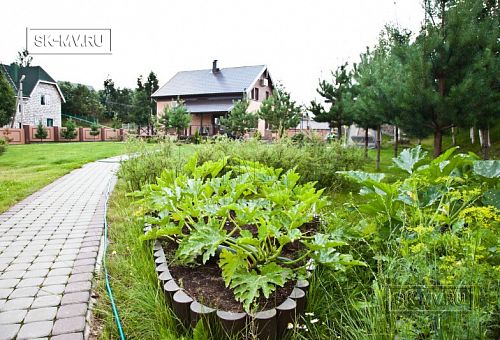 Ландшафтный дизайн территории домовладения в Порошкино 1 - 10