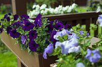 Строительство зимнего каркасного дома 222 кв м с эркером и гаражом в п Володарский - мини - 18